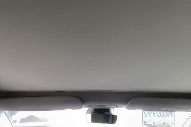 Used Tesla Model 3 2025 Rear-Wheel-Drive Version Headliner