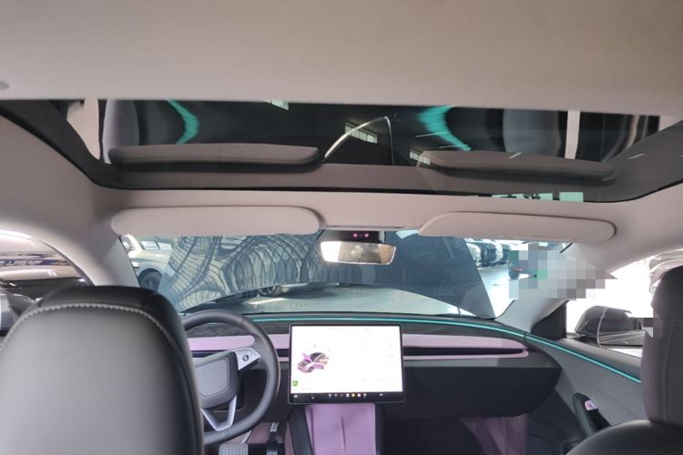 Used Tesla Model 3 2025 Rear-Wheel-Drive Version Headliner