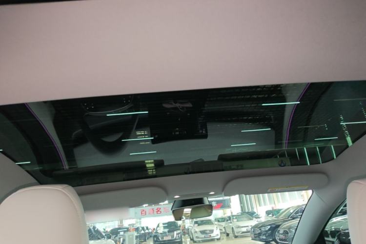 Used Tesla Model 3 2025 Rear-Wheel-Drive Version Headliner