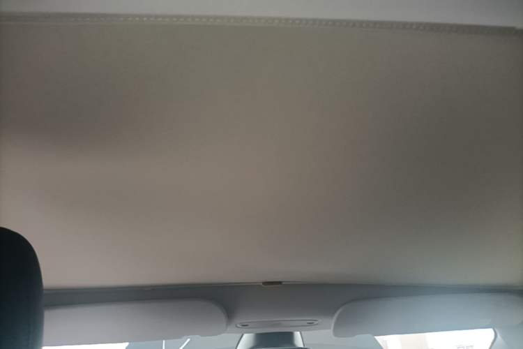 Used Tesla Model 3 2025 Model Revised Rear-Wheel-Drive Version Headliner