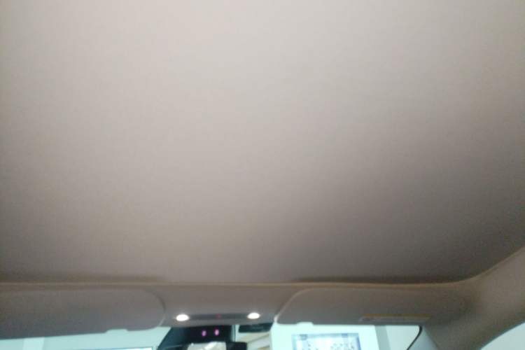 Used Tesla Model 3 2025 Rear-Wheel-Drive Version Headliner