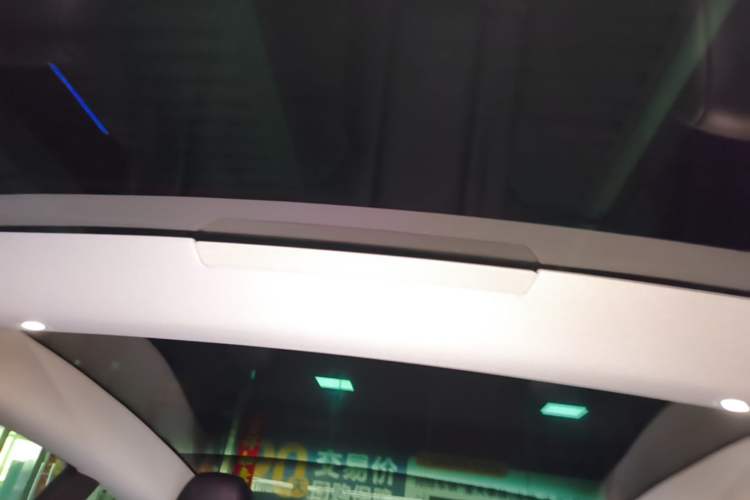 Used Tesla Model 3 2025 Rear-Wheel-Drive Version Headliner