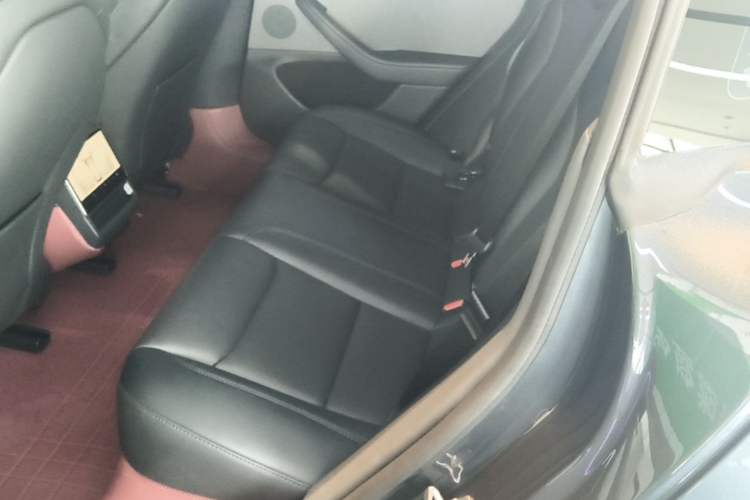 Used Tesla Model 3 2025 Rear-Wheel-Drive Version Left Rear Seat