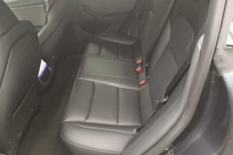 Used Tesla Model 3 2025 Rear-Wheel-Drive Version Left Rear Seat