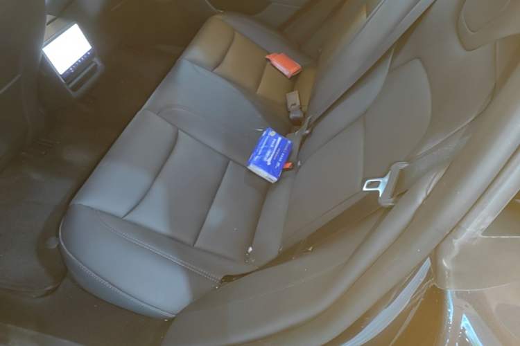 Used Tesla Model 3 2025 Model Revised Rear-Wheel-Drive Version Left Rear Seat
