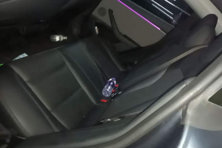Used Tesla Model 3 2025 Rear-Wheel-Drive Version Left Rear Seat