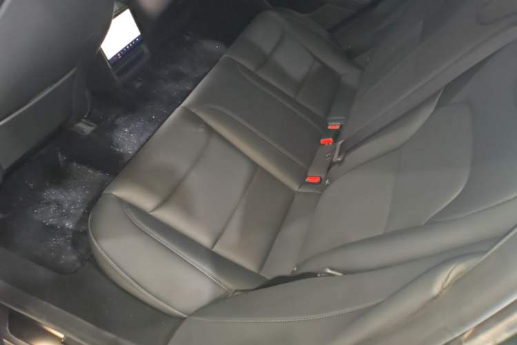 Used Tesla Model 3 2025 Rear-Wheel-Drive Version Left Rear Seat