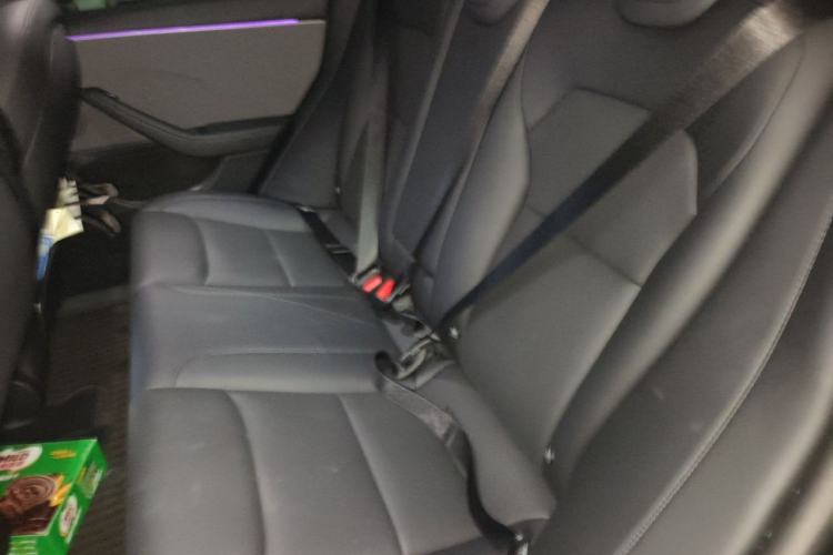 Used Tesla Model 3 2025 Rear-Wheel-Drive Version Left Rear Seat