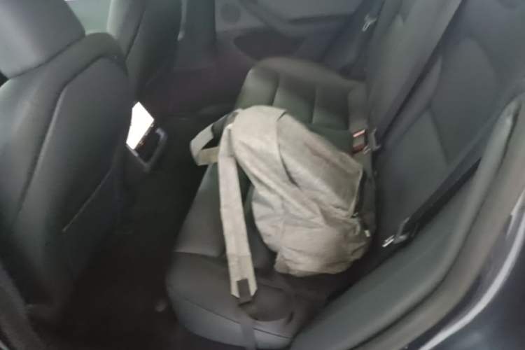 Used Tesla Model 3 2025 Model Revised Rear-Wheel-Drive Version Left Rear Seat