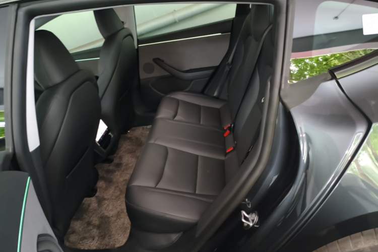 Used Tesla Model 3 2025 Rear-Wheel-Drive Version Left Rear Seat