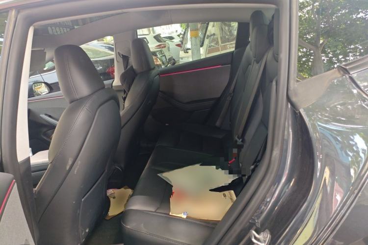 Used Tesla Model 3 2025 Rear-Wheel-Drive Version Left Rear Seat