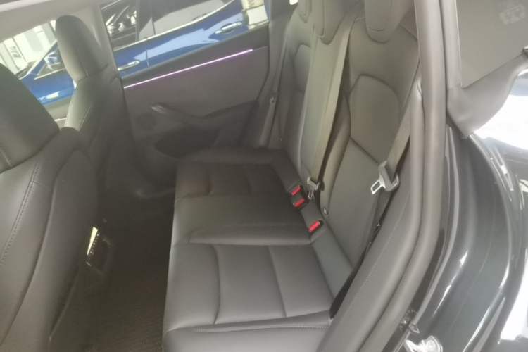 Used Tesla Model 3 2025 Rear-Wheel-Drive Version Left Rear Seat