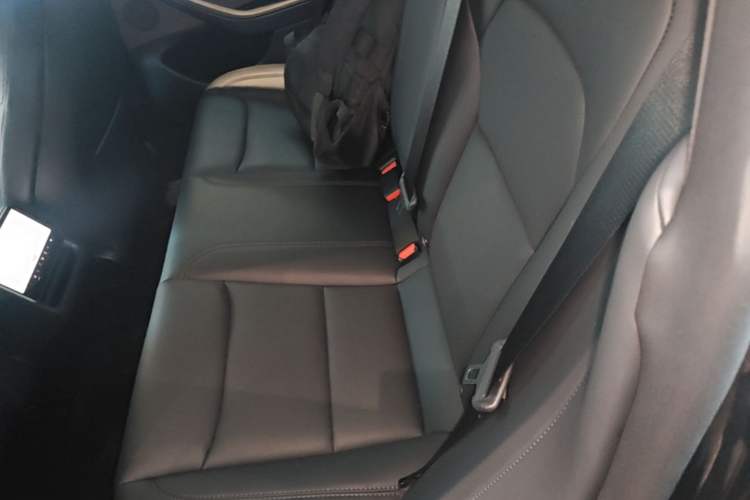 Used Tesla Model 3 2025 Rear-Wheel-Drive Version Left Rear Seat