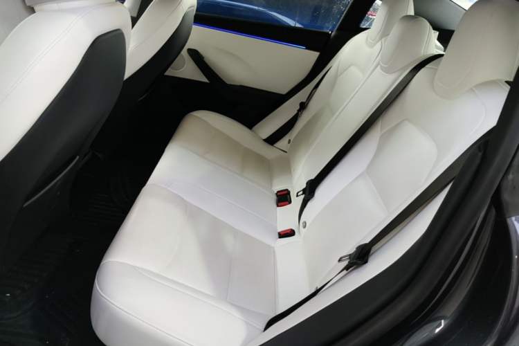 Used Tesla Model 3 2025 Long-Range All-Wheel-Drive Version Left Rear Seat