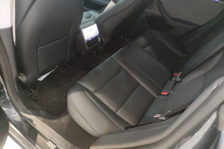 Used Tesla Model 3 2025 Rear-Wheel-Drive Version Left Rear Seat