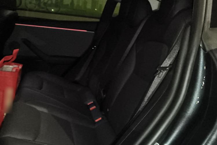 Used Tesla Model 3 2025 Rear-Wheel-Drive Version Left Rear Seat