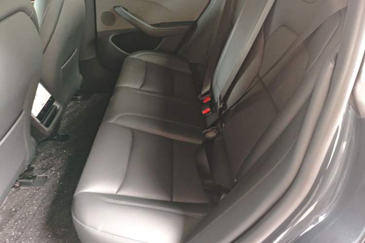 Used Tesla Model 3 2025 Rear-Wheel-Drive Version Left Rear Seat