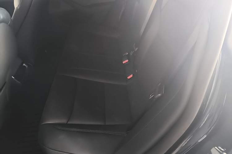 Used Tesla Model 3 2025 Rear-Wheel-Drive Version Left Rear Seat
