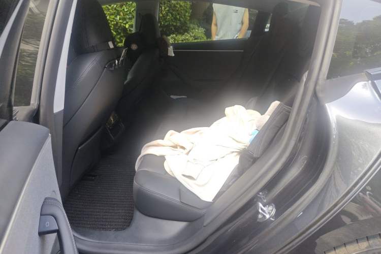 Used Tesla Model 3 2025 Rear-Wheel-Drive Version Left Rear Seat