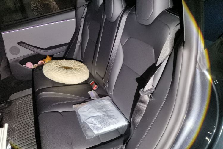 Used Tesla Model 3 2025 Rear-Wheel-Drive Version Left Rear Seat
