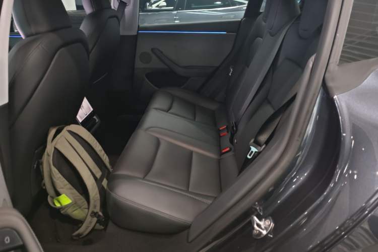 Used Tesla Model 3 2025 Rear-Wheel-Drive Version Left Rear Seat