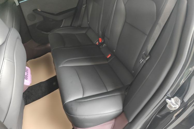 Used Tesla Model 3 2025 Rear-Wheel-Drive Version Left Rear Seat