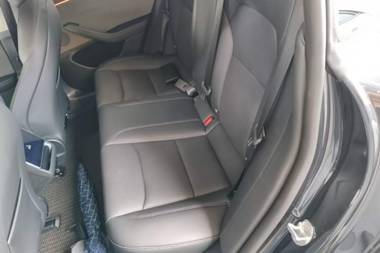 Used Tesla Model 3 2025 Rear-Wheel-Drive Version Left Rear Seat