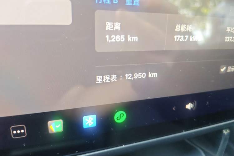 Used Tesla Model 3 2025 Rear-Wheel-Drive Version Odometer Close Up