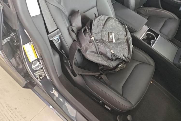 Used Tesla Model 3 2025 Rear-Wheel-Drive Version Right Front Seat
