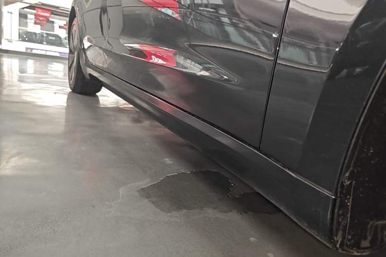 Used Tesla Model 3 2025 Model Revised Rear-Wheel-Drive Version Right Side Sill