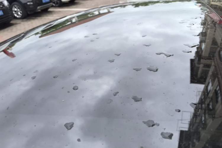 Used Tesla Model 3 2025 Rear-Wheel-Drive Version Roof