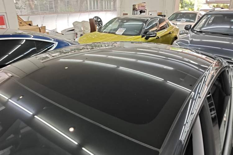 Used Tesla Model 3 2025 Rear-Wheel-Drive Version Roof