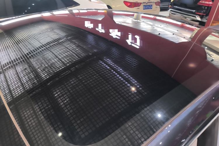 Used Tesla Model 3 2025 Rear-Wheel-Drive Version Roof