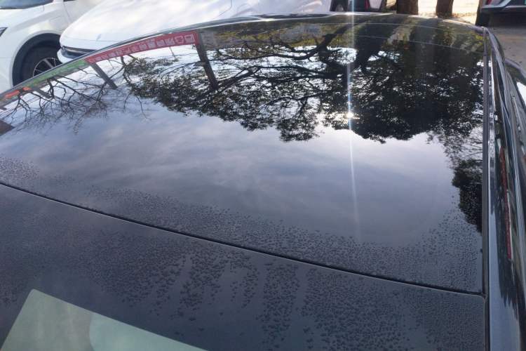 Used Tesla Model 3 2025 Rear-Wheel-Drive Version Roof