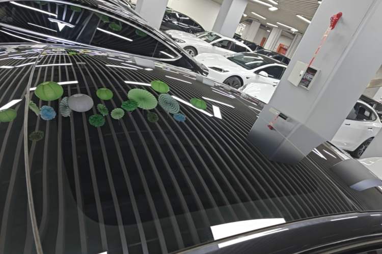 Used Tesla Model 3 2025 Rear-Wheel-Drive Version Roof