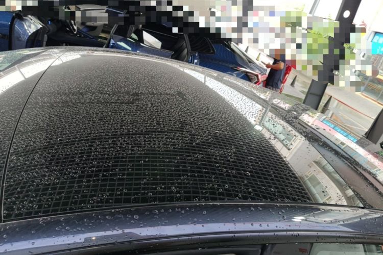Used Tesla Model 3 2025 Long-Range All-Wheel-Drive Version Roof