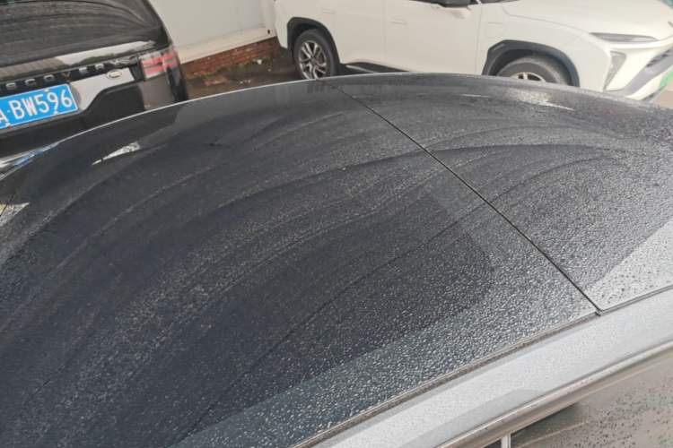 Used Tesla Model 3 2025 Rear-Wheel-Drive Version Roof
