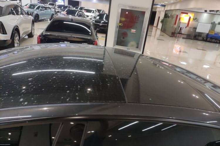 Used Tesla Model 3 2025 Rear-Wheel-Drive Version Roof