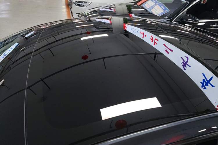 Used Tesla Model 3 2025 Rear-Wheel-Drive Version Roof