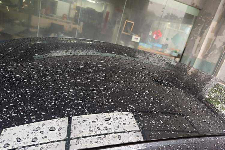 Used Tesla Model 3 2025 Rear-Wheel-Drive Version Roof