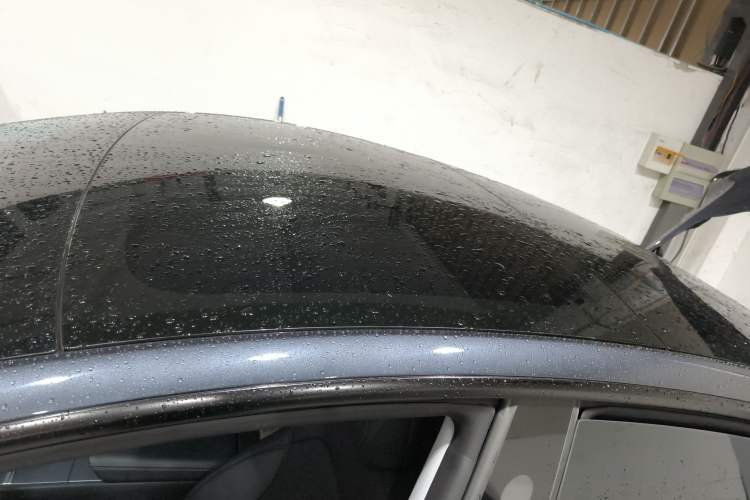 Used Tesla Model 3 2025 Rear-Wheel-Drive Version Roof