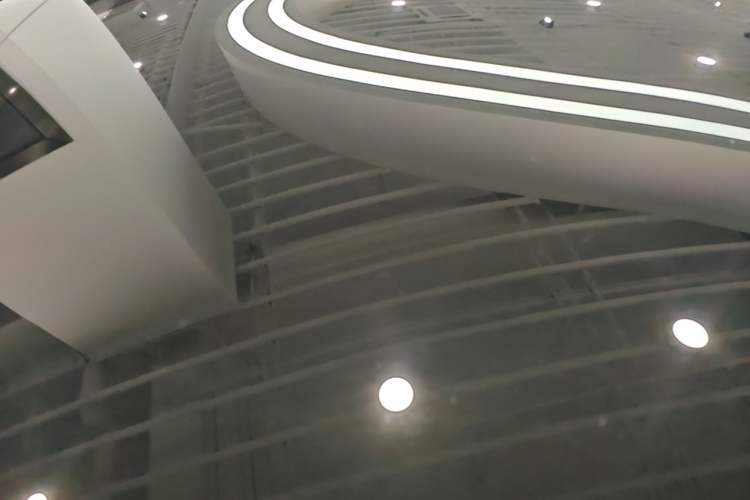 Used Tesla Model 3 2025 Rear-Wheel-Drive Version Roof