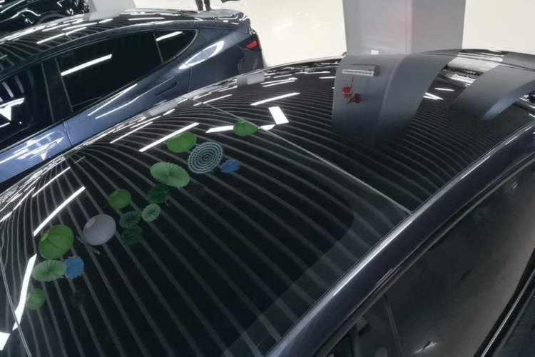 Used Tesla Model 3 2025 Rear-Wheel-Drive Version Roof