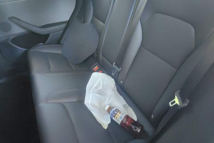 Used Tesla Model 3 2025 Rear-Wheel-Drive Version Left Rear Seat