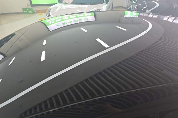 Used Tesla Model 3 2025 Long-Range All-Wheel-Drive Version Roof