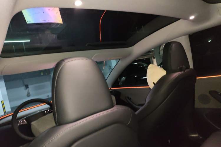 Used Tesla Model 3 2025 Rear-Wheel-Drive Version Headliner