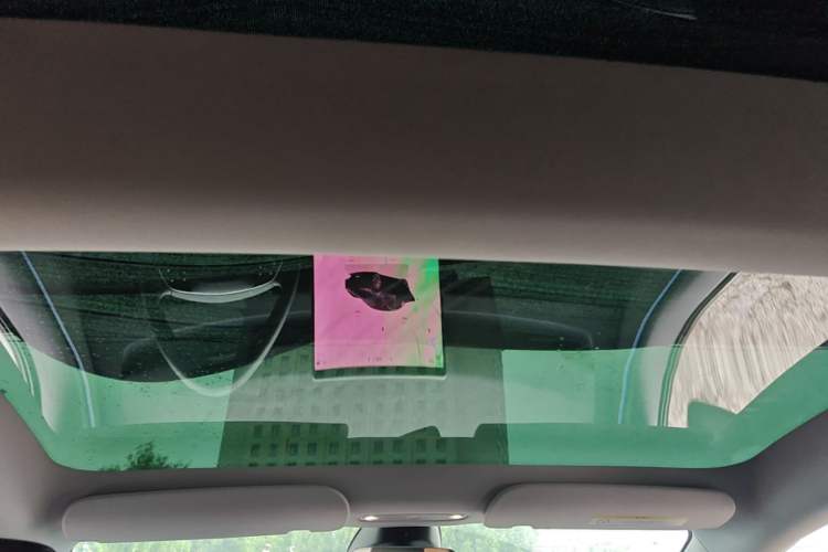 Used Tesla Model 3 2025 Rear-Wheel-Drive Version Headliner