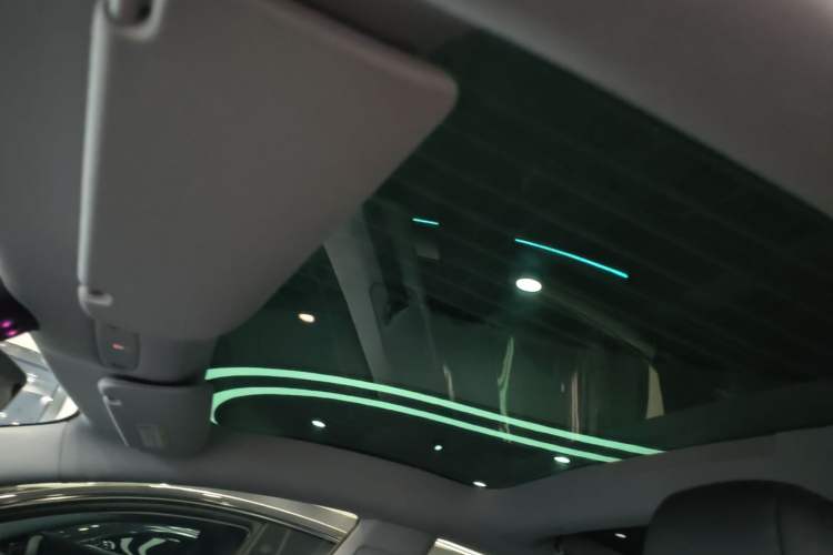 Used Tesla Model 3 2025 Rear-Wheel-Drive Version Headliner