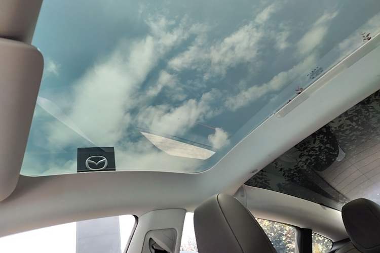 Used Tesla Model 3 2025 Rear-Wheel-Drive Version Headliner