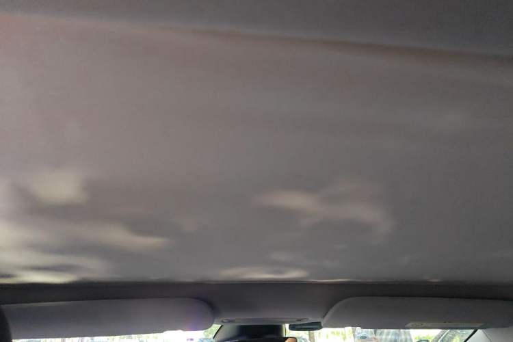 Used Tesla Model 3 2025 Model Revised Rear-Wheel-Drive Version Headliner